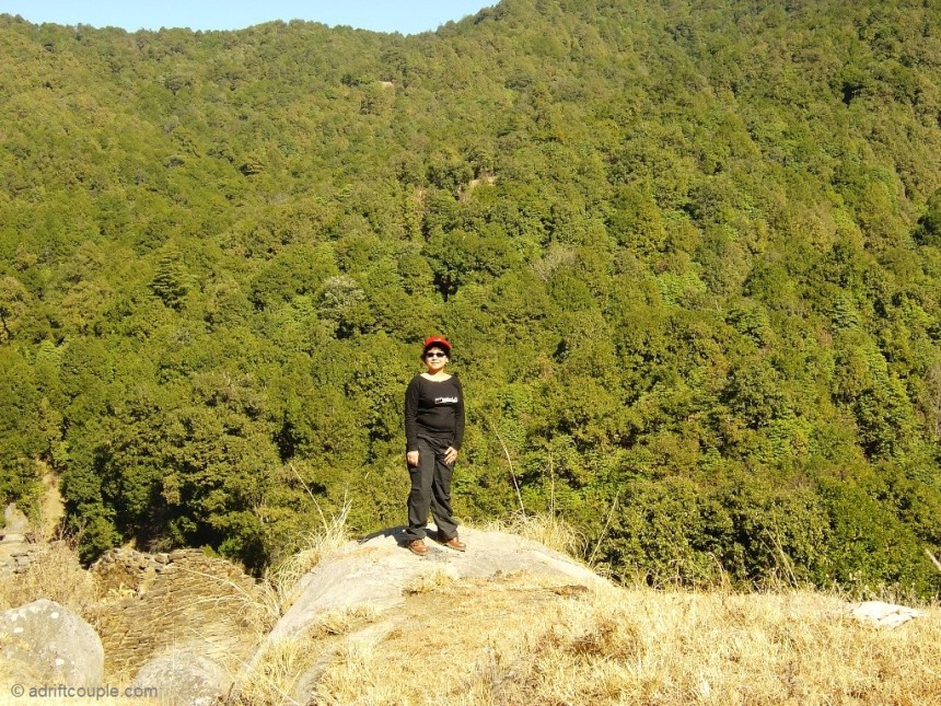 In the Binsar Wildlife Sanctuary