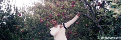 Pabbar Valley Trail is an offbeat excursion in the apple belt of Himachal Pradesh (India).