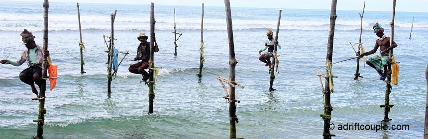 Stilt Fishermen in Sri Lanka.