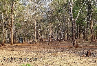 Jeep Safari Nagarhole