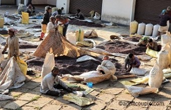Coffee Beans Packing